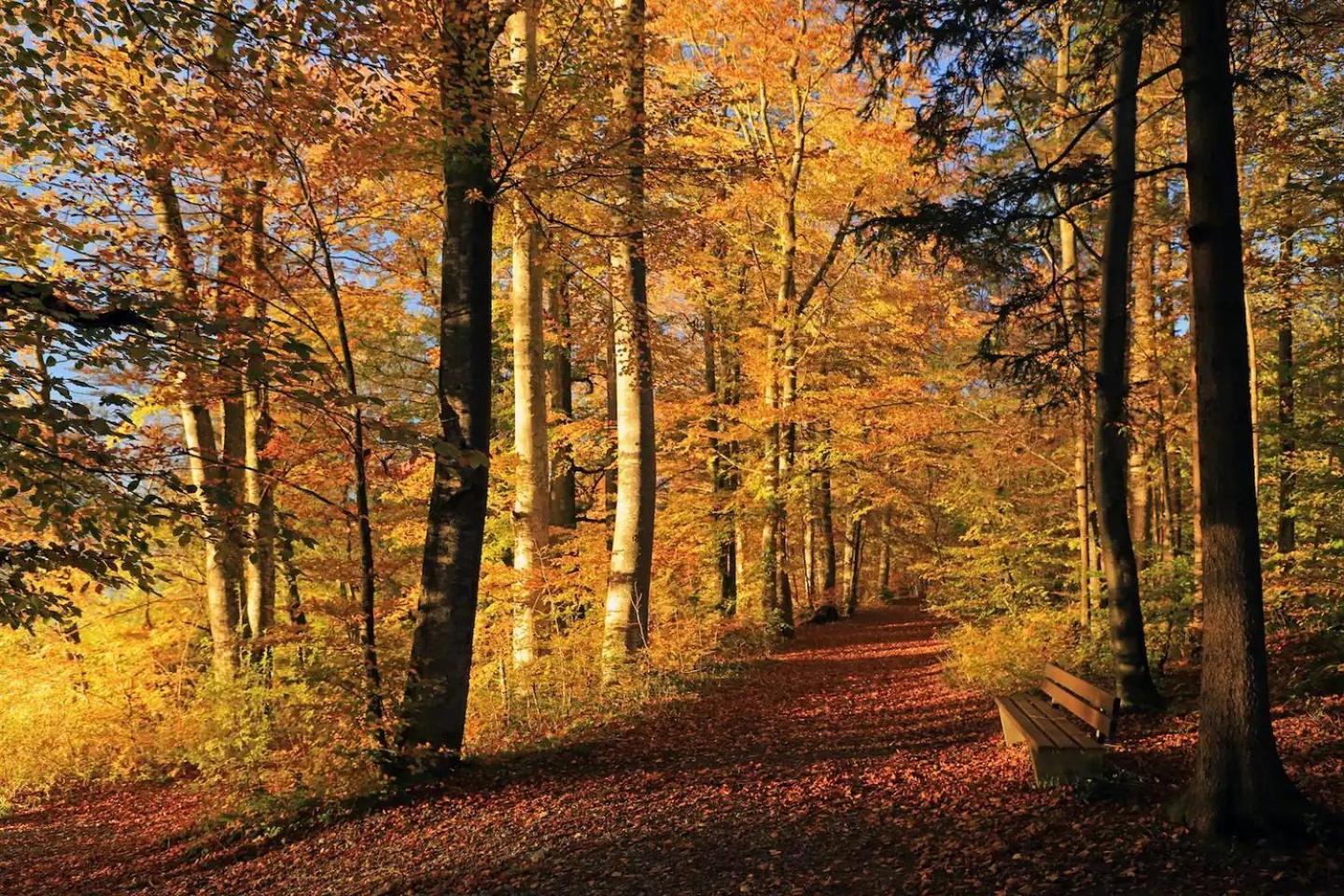 Gartenwohnung Im Modernen Stil Unterkulm Esterno foto